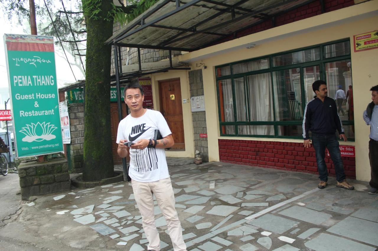 Pema Thang Hotel Kangra Bagian luar foto