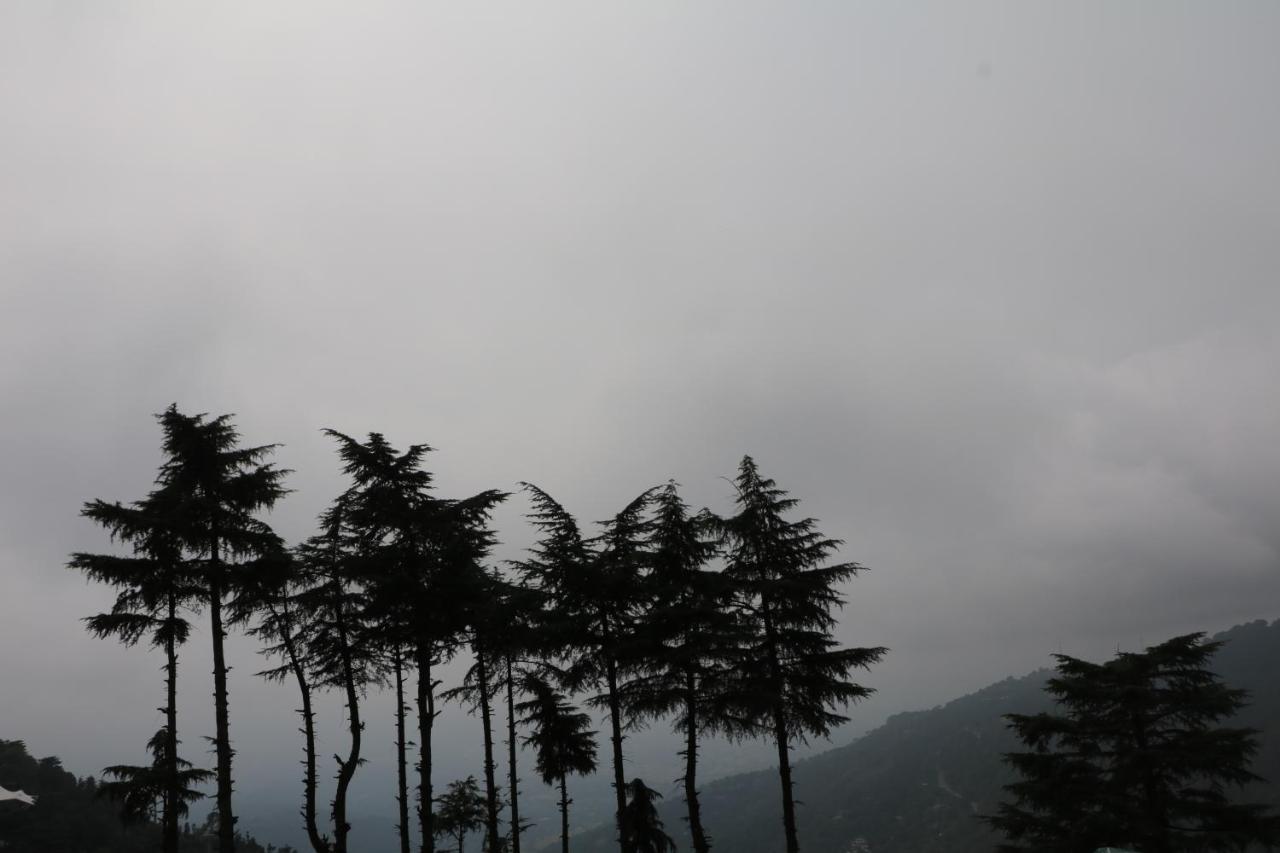 Pema Thang Hotel Kangra Bagian luar foto
