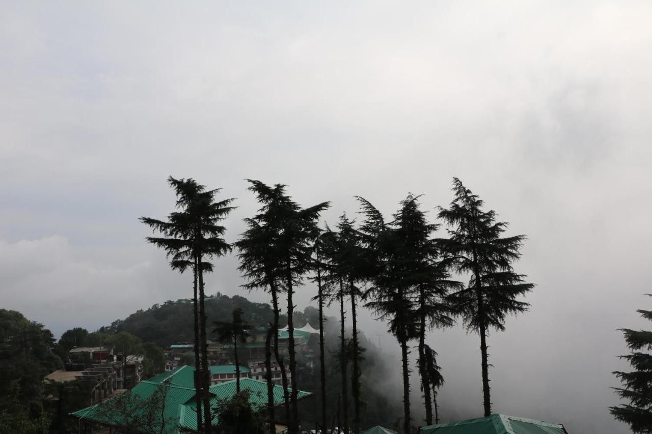 Pema Thang Hotel Kangra Bagian luar foto
